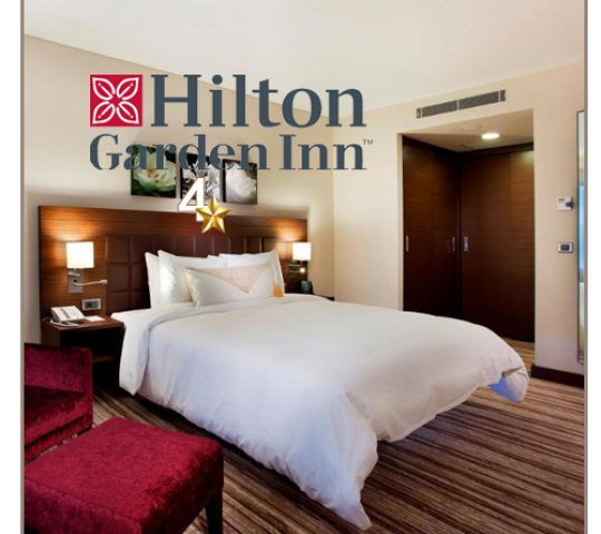 Hilton Garden Inn Hilton Garden Inn