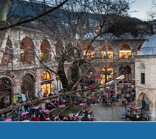Bursa