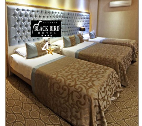BLACK BIRD
