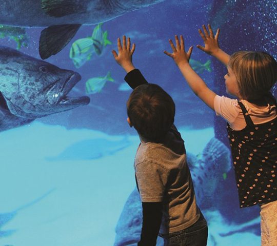 Things To Do In  Istanbul