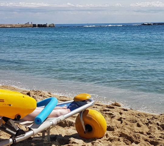 Disabled Holiday