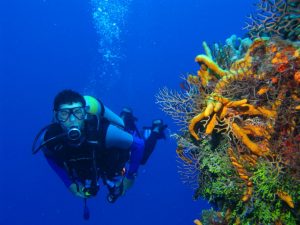 Scuba Diving: