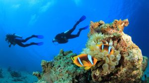 Scuba Diving: